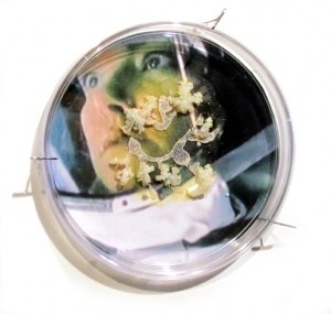 I Caught It at The Movies (2013: digital images, petri dishes, mylar, gouache, agar, Halobacterium sp. NRC-1