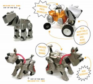 Feral Robotic Dog (2005-present: multimedia)